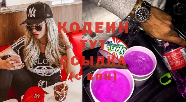 гашик Карпинск