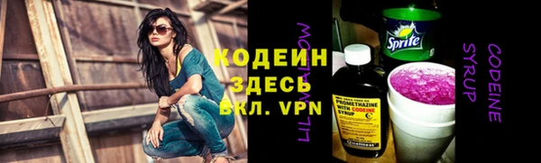 гашик Карпинск