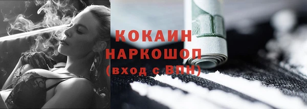 ГАЛЛЮЦИНОГЕННЫЕ ГРИБЫ Карталы