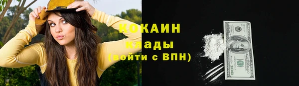 гашик Карпинск
