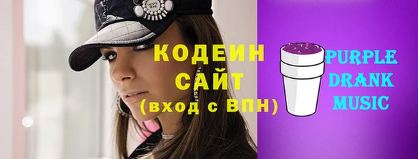 гашик Карпинск