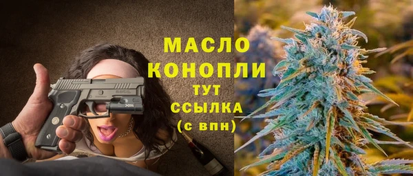 гашик Карпинск