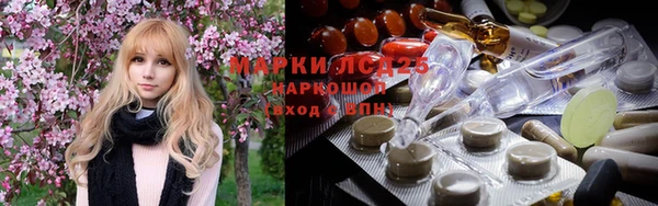 ГАЛЛЮЦИНОГЕННЫЕ ГРИБЫ Карталы