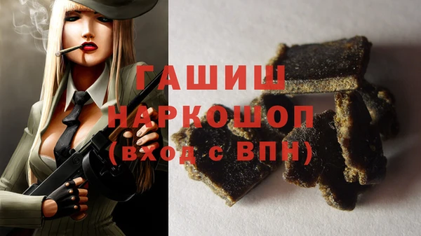гашик Карпинск