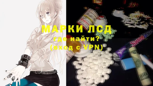 гашик Карпинск