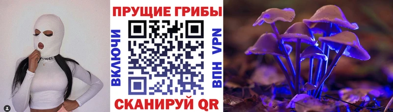 Галлюциногенные грибы Cubensis  Купить закладки  Свободный 