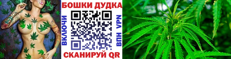 Купить  Свободный  Канабис семена 